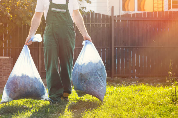 Best Electronics Removal Services  in Dysart, IA